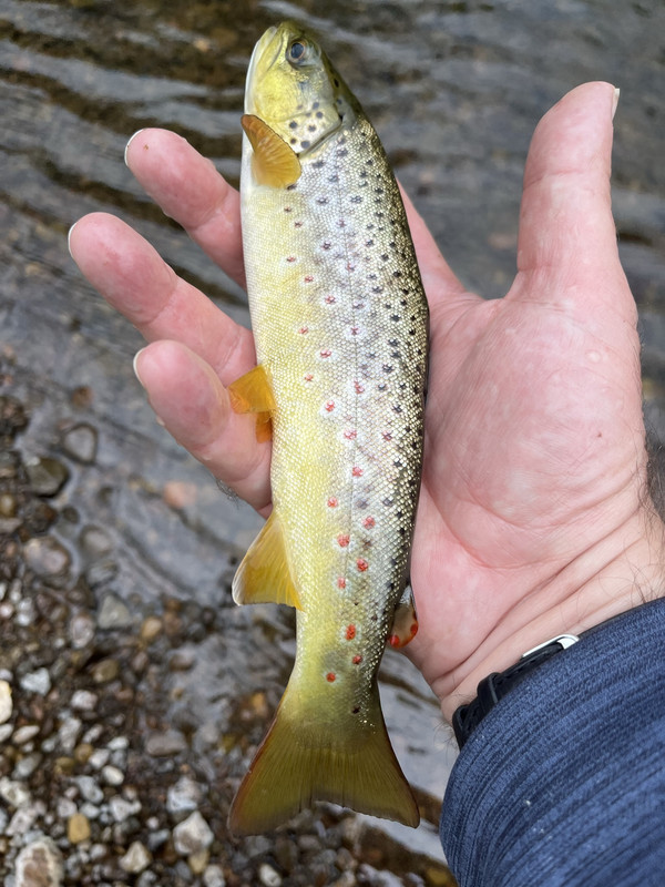 6701C551-AF40-43F3-A3A4-E0C9870392F7