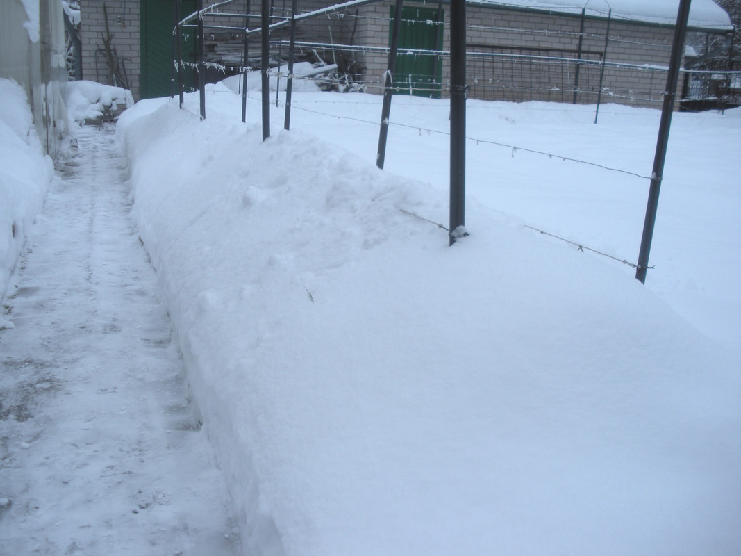 Зимний пейзаж-4, январь 2019