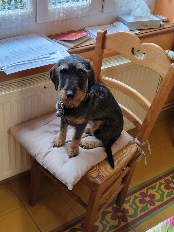 [Image: IMG-20240222-WA0001.jpg]