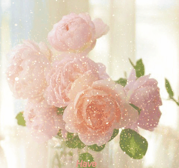 PinkRose