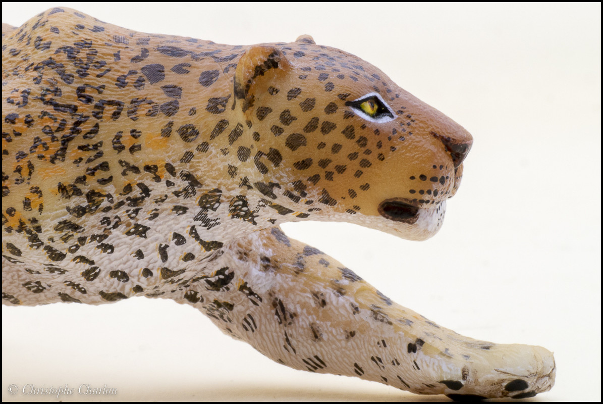 shades variation Papo-Leopard-2