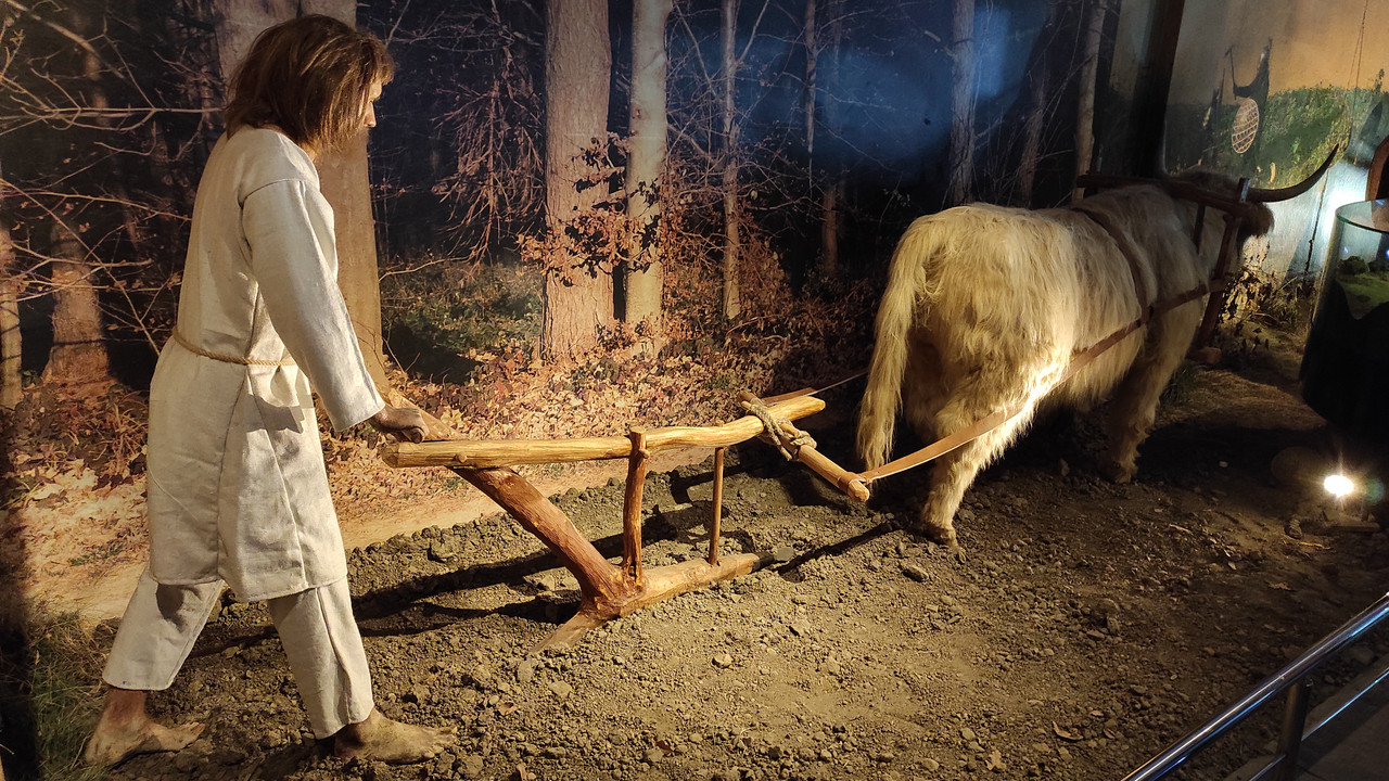 05.09 - IMG_20220617_145324 (Czesio1)