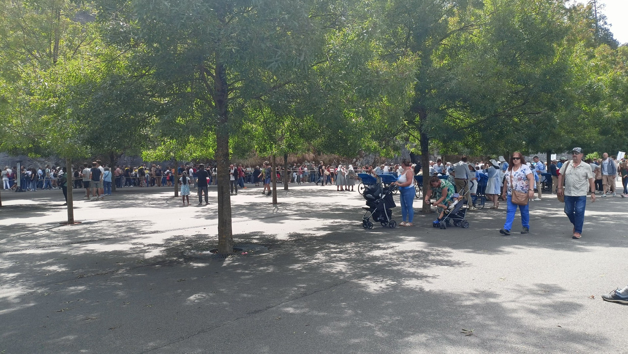 IMG20250820150027 (Large)