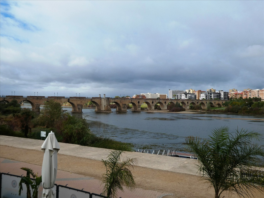 P1150153