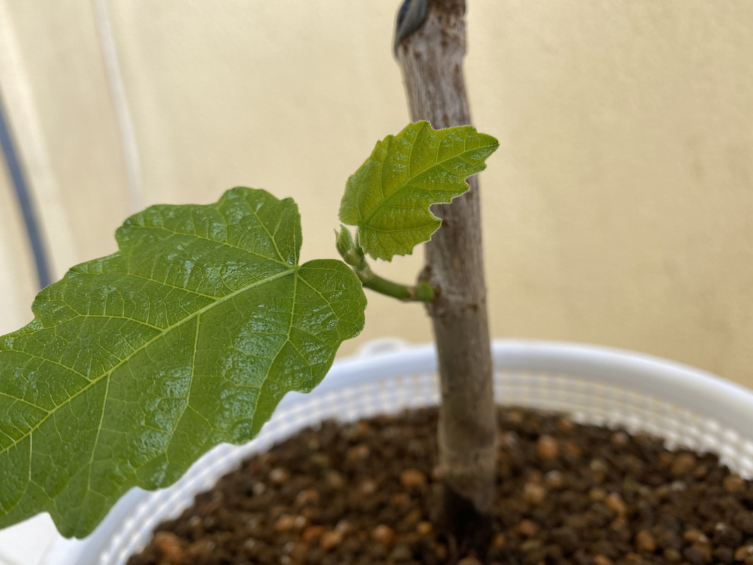 261929B4-387C-4FCD-8006-3AE5EAD3A9FC