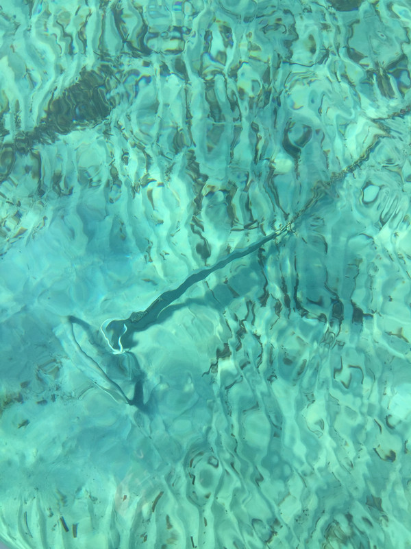 91B7C39C-7C05-4BEC-8DC0-D3230AA98CFF