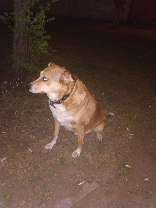 FA8F190F-D335-4098-AF4B-67489EB7E53C