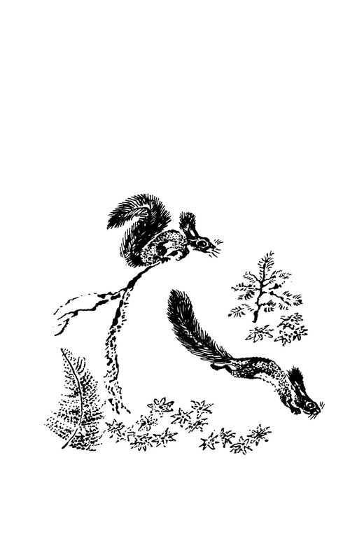 1993-page-0006