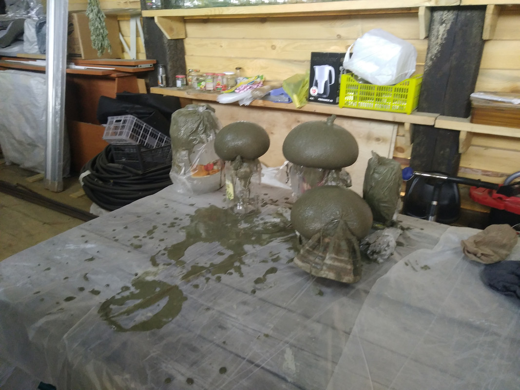 15578207373832062047752