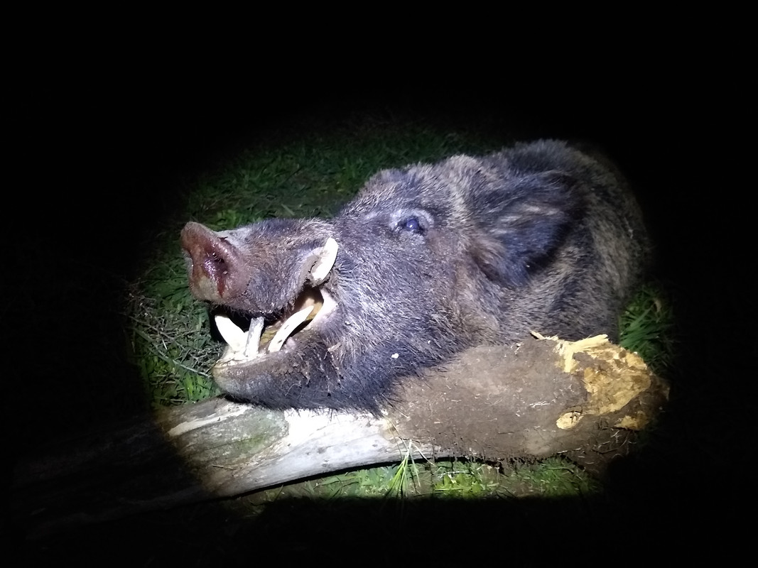 IMG_20200807_001008085