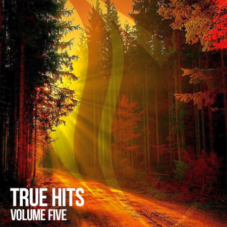 VA   True Hits Vol. 5 (2020)