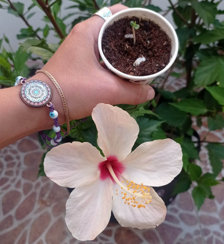 316797669_840082007323976_1088754350449975891_n