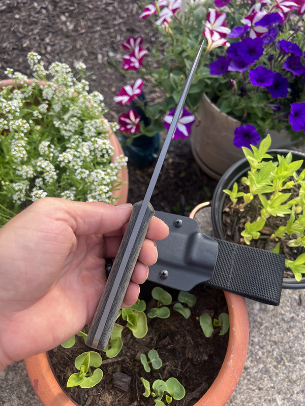 E5F8D89C-DA4C-4BFA-98A6-0E679CE28B6F