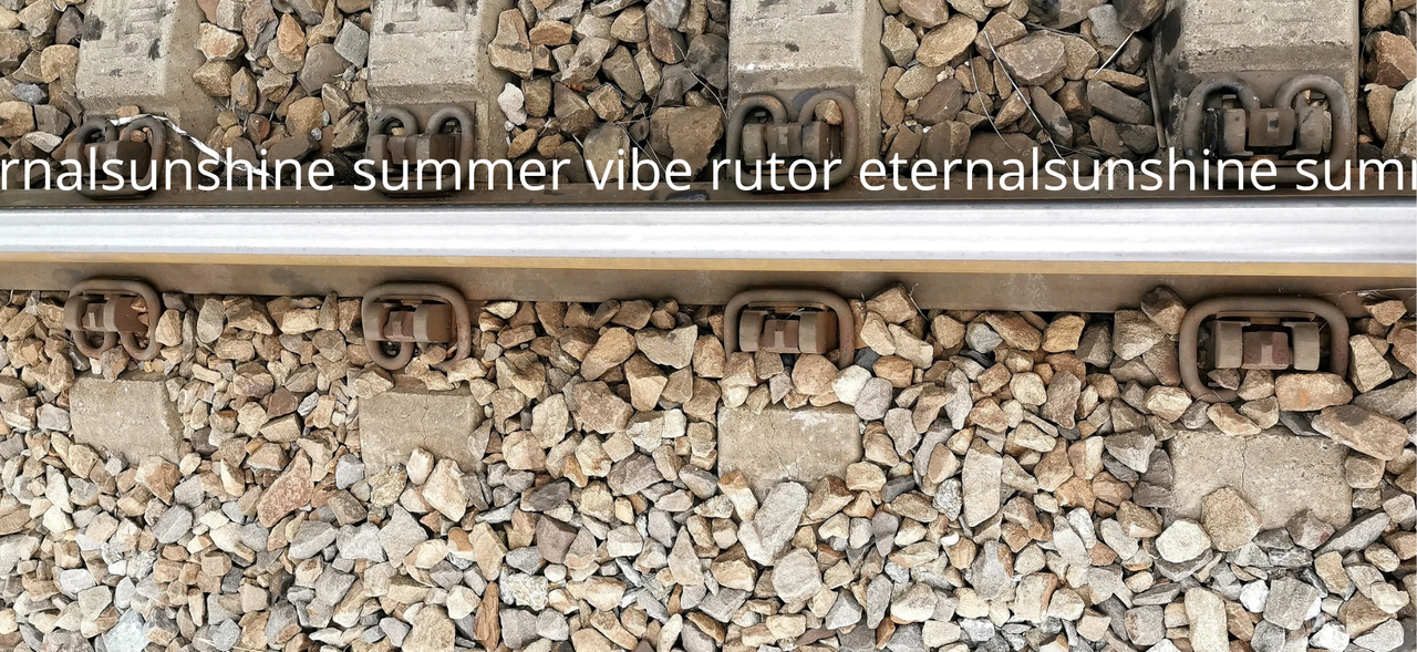 rutor-eternalsunshine-summer-vibe-20250823-104439-0000.png