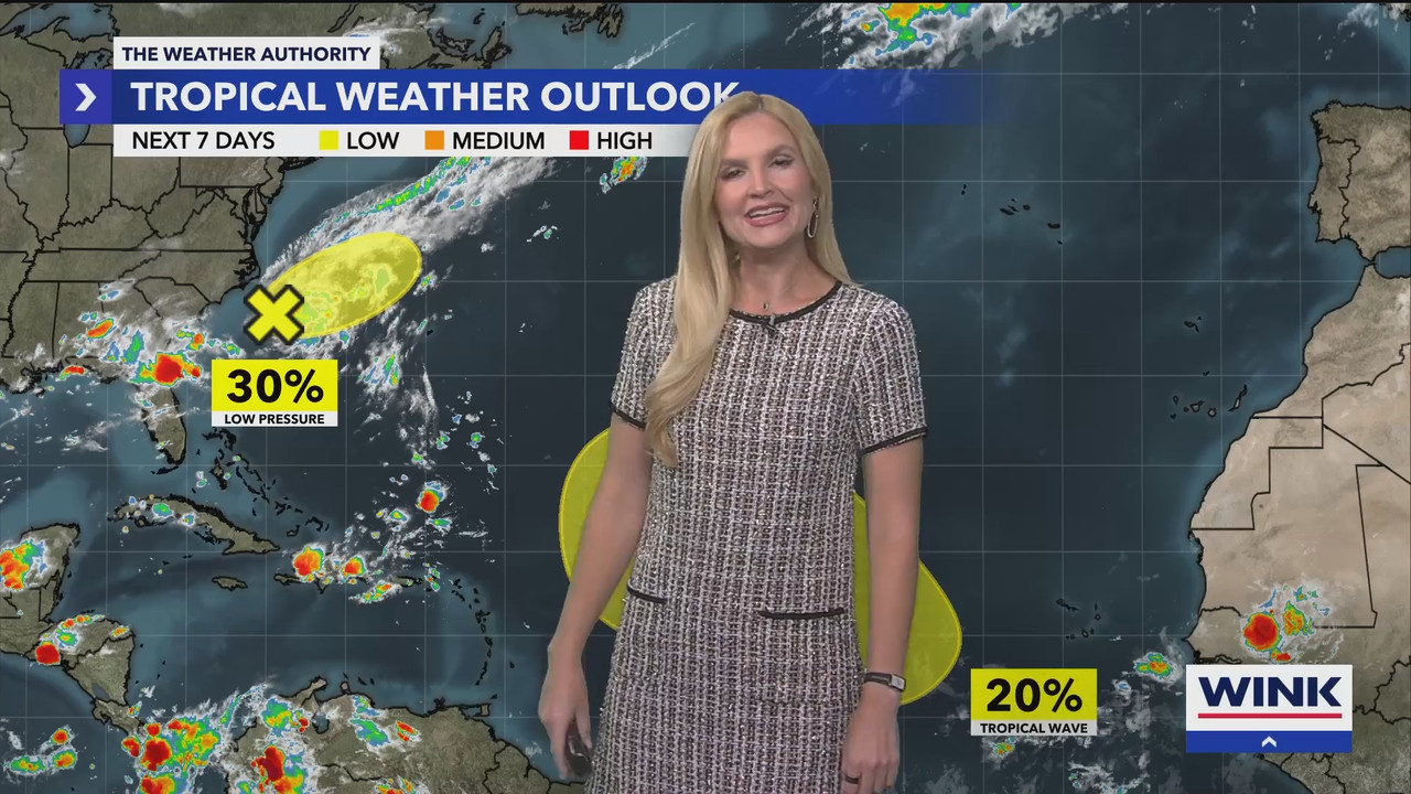 WINK News at 11_20250803_04000500.ts_snapshot_00.46.05.346