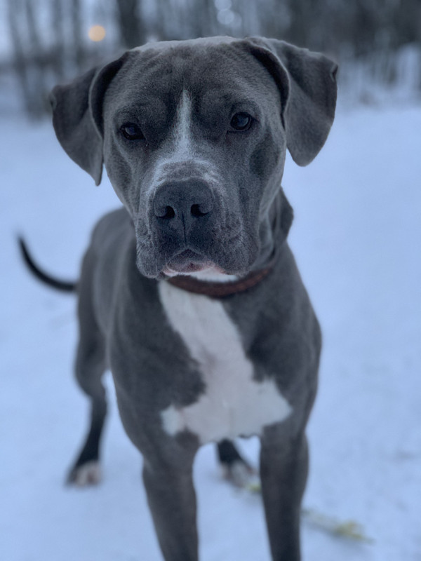 04E91AC6-A7C4-485B-8227-6234919138AC