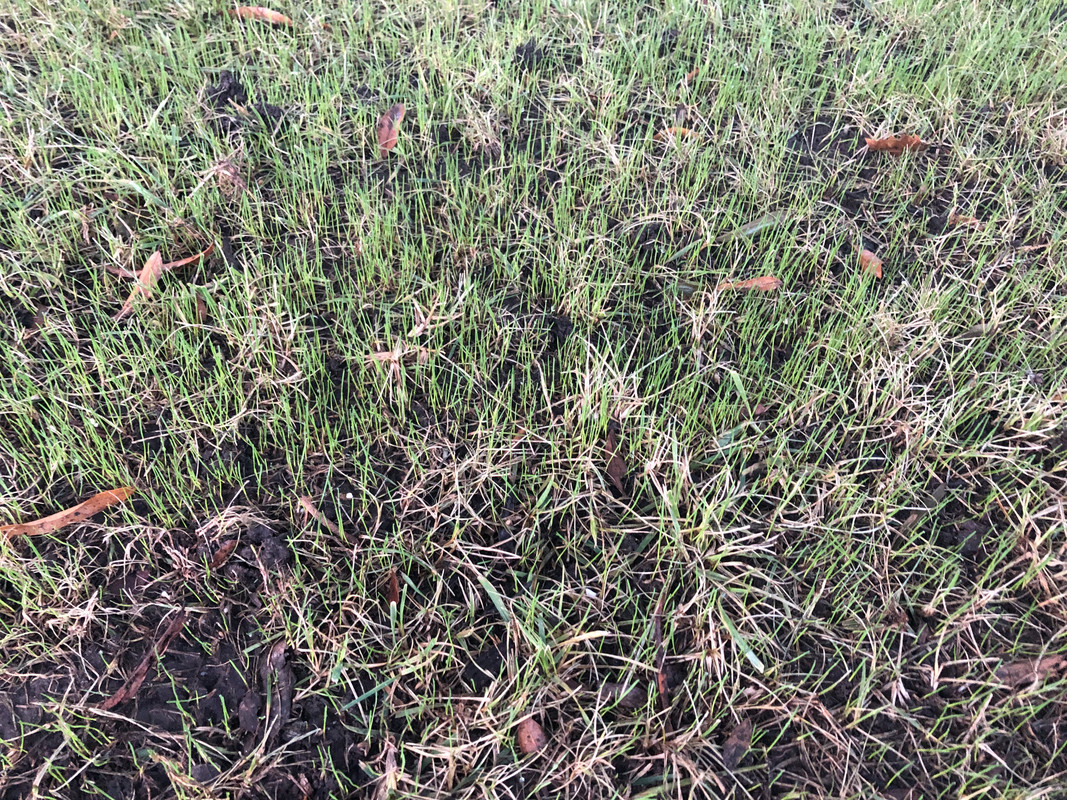 1973C0A5-2595-42C8-B58F-93548101FF5F