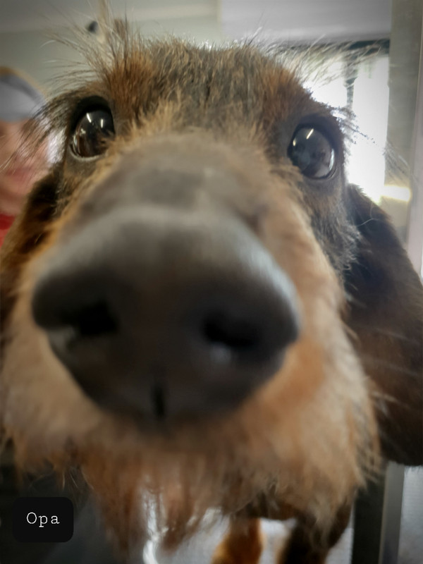 [Image: 20220512-175848.jpg]