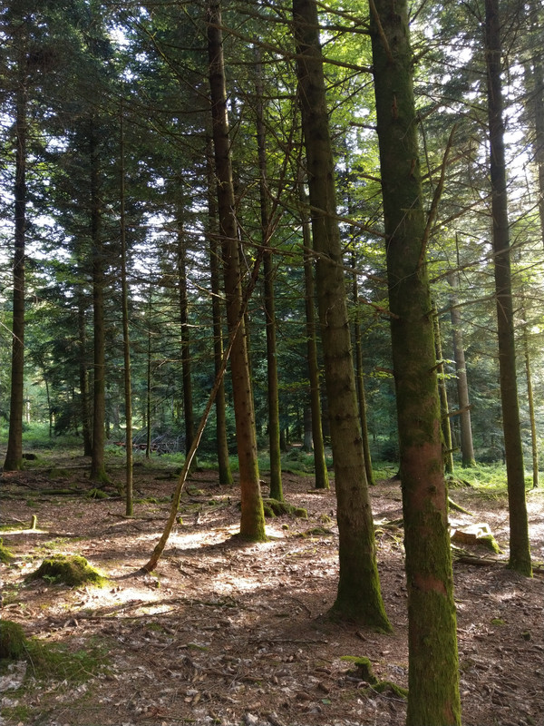 94D8ED30-A10E-4688-BE81-C8D719A92710