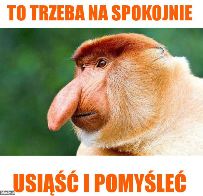 2025-06-26-19-26-25-To-Trzeba-Na-Spokojn