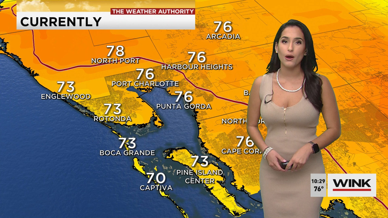 02.09 - 15.00.00 - WINK News at 10 00 a.m..ts_snapshot_00.30.18.709
