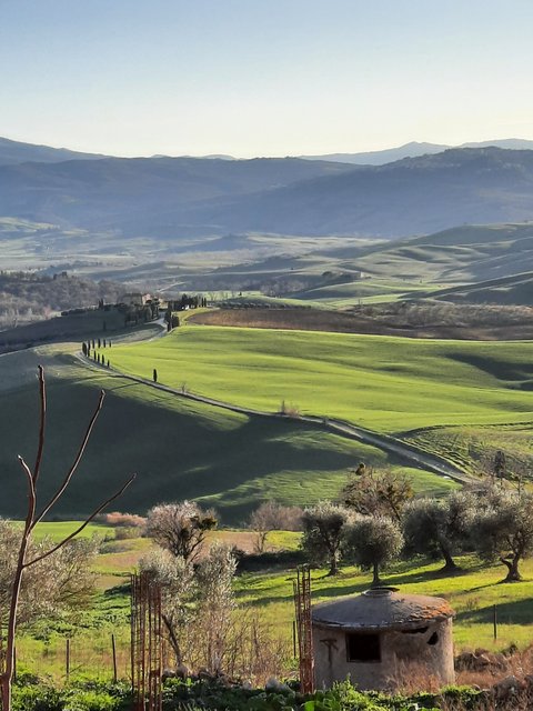 DIA 5. MONTICHIELLO-MONTEPULCCIANO. CASA DE MAXIMO. - Respirar y saborear la Toscana. 9 días (1)