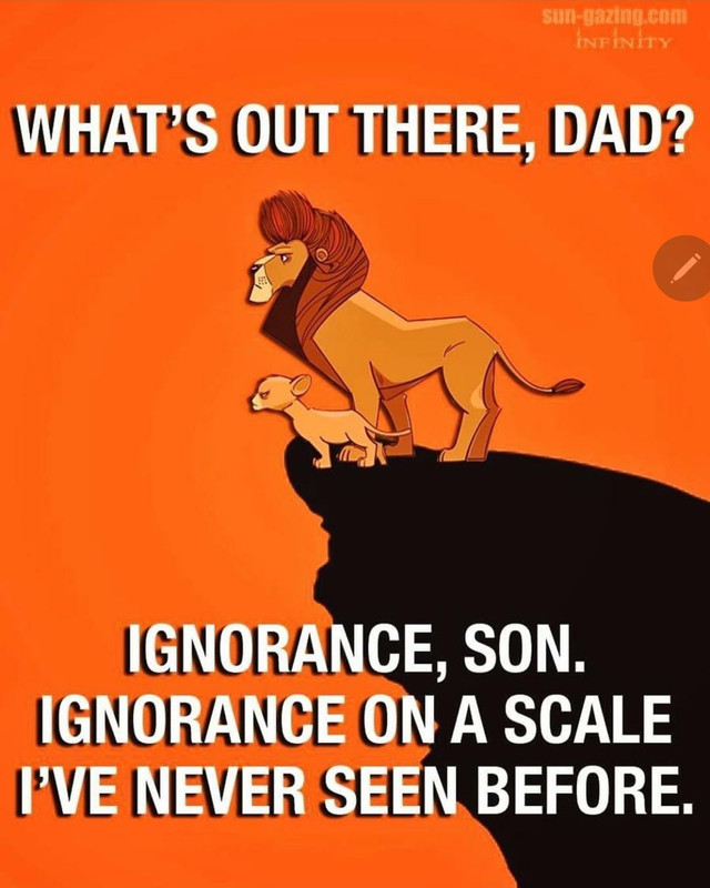 Screenshot_20200706-194012_Instagram