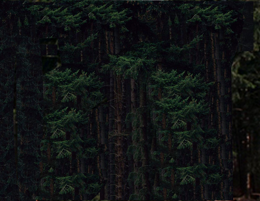 Hagrid hut Background II