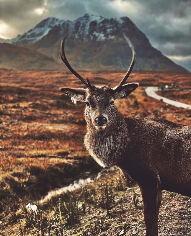 Screenshot_20231206_225039_Instagram