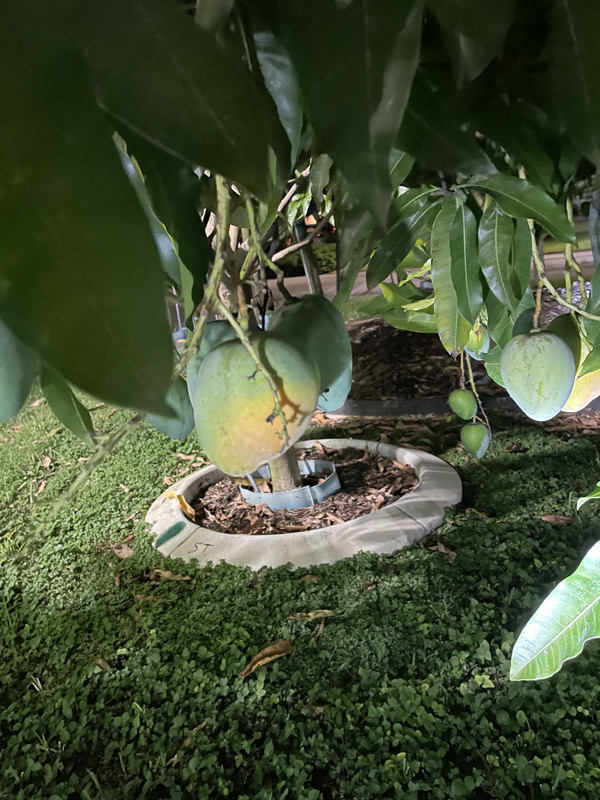 8A470F0D-1707-4F45-836E-07EA3A715165