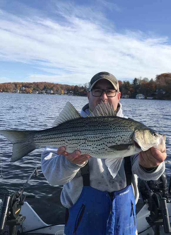 8BFFB248-D241-4321-B607-9051299655C8