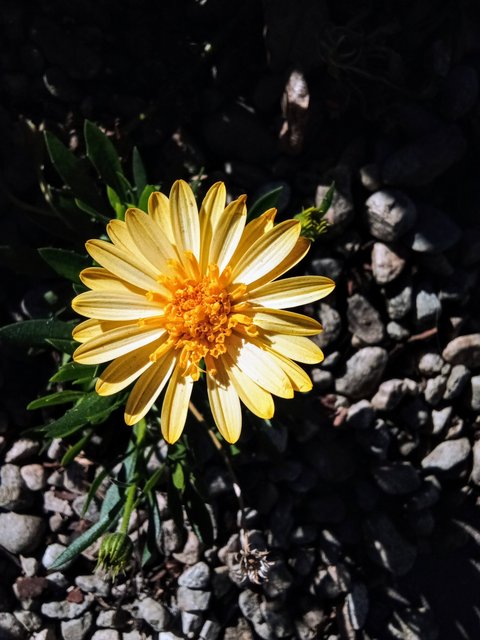 [Image: IMG-20250121-122423-2.jpg]