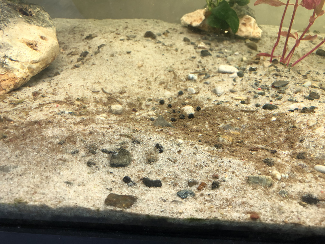 3DBDFF47-8453-4A42-AD18-544E5BA45687