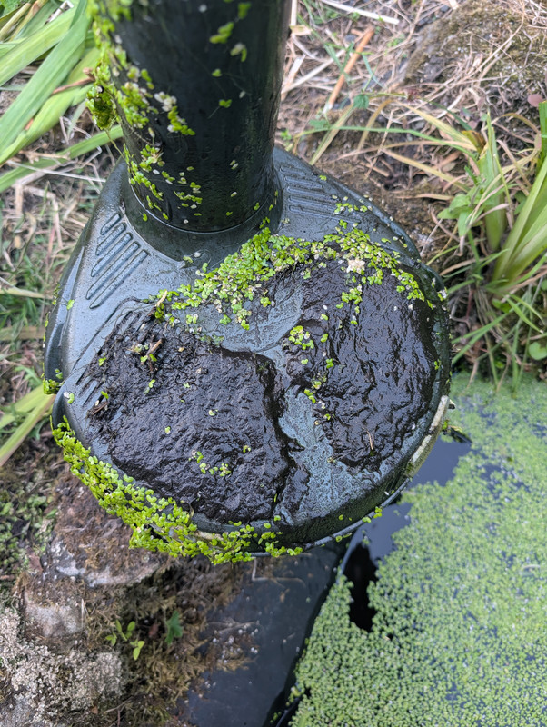 PXL_20250707_194845180.MP