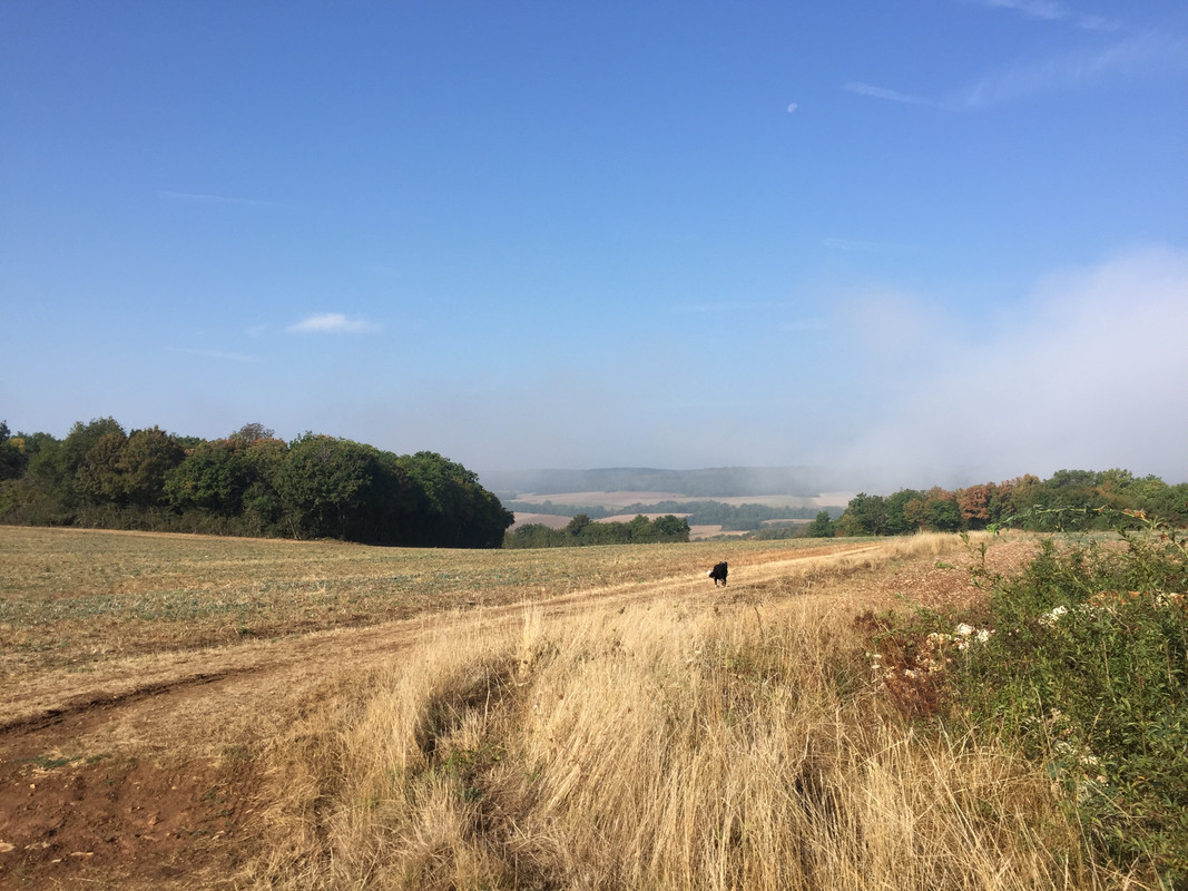 78E61077-77FC-487E-A6CE-69E38EAFE765