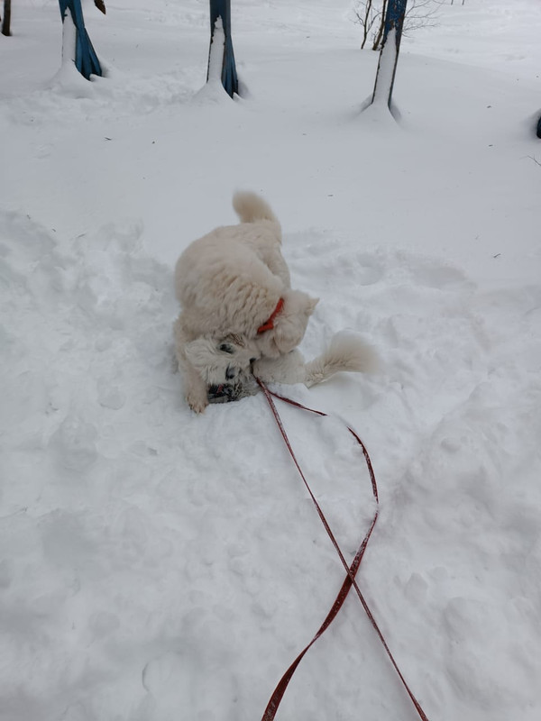 B338777B-8CBB-4B83-AE7E-550007E3324A