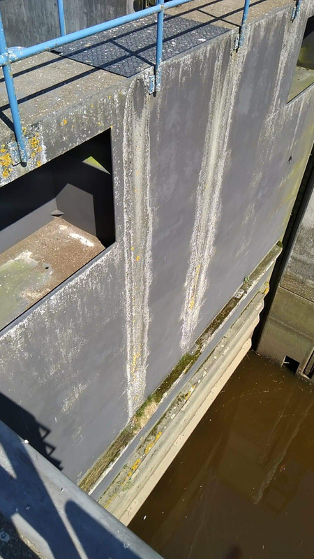 received_187750615368787