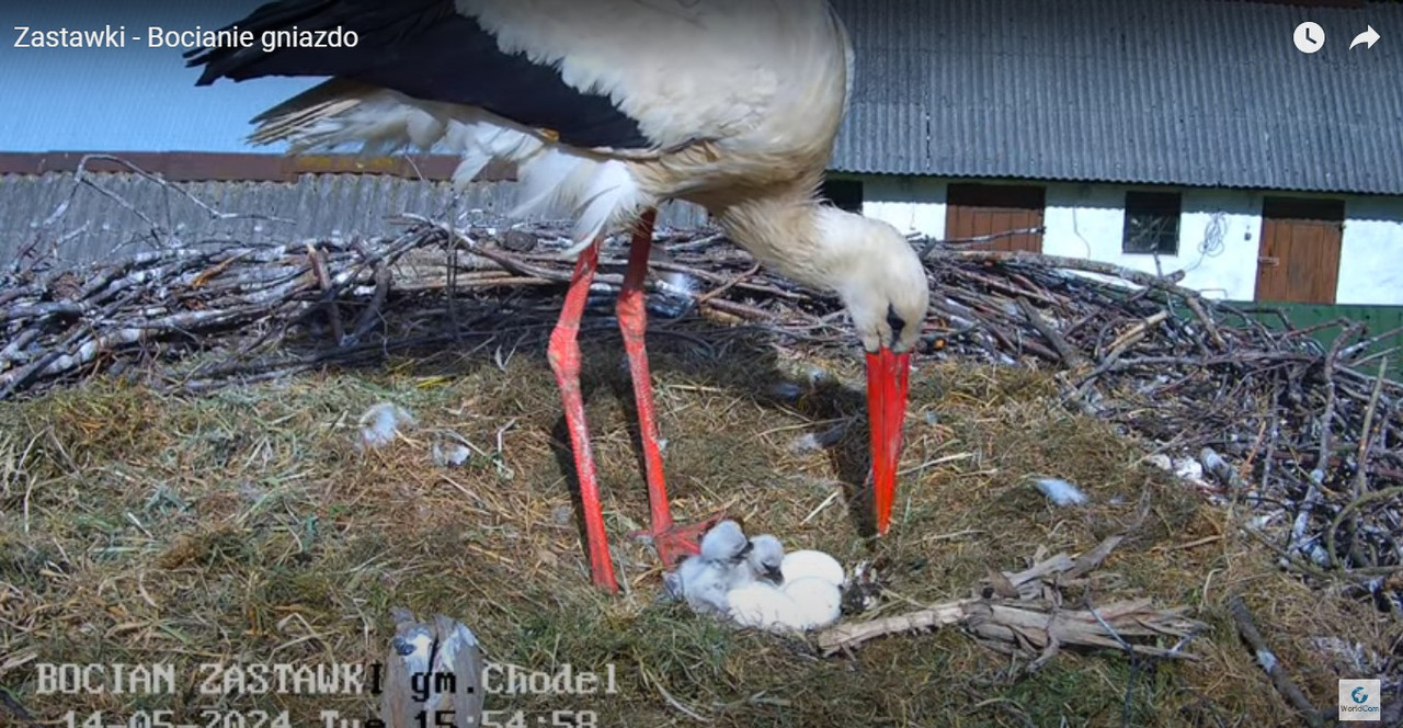 ScreenHunter_45813 May. 14 17.13