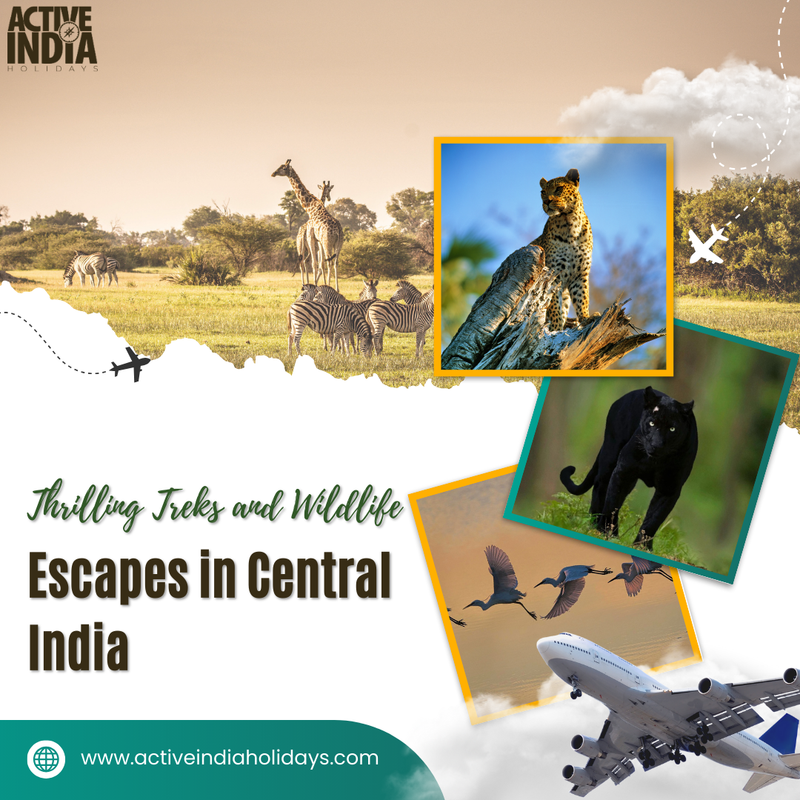 Active India Holidays