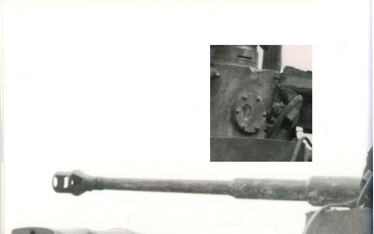 тигр фронт 123 1111