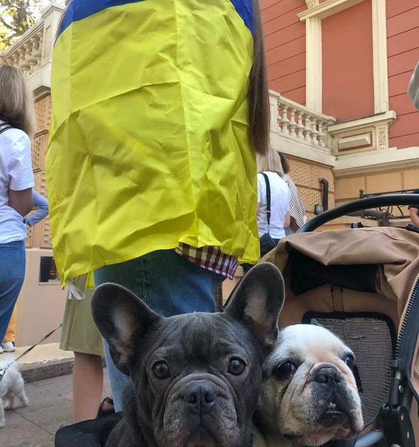 FB_IMG_1696097332830