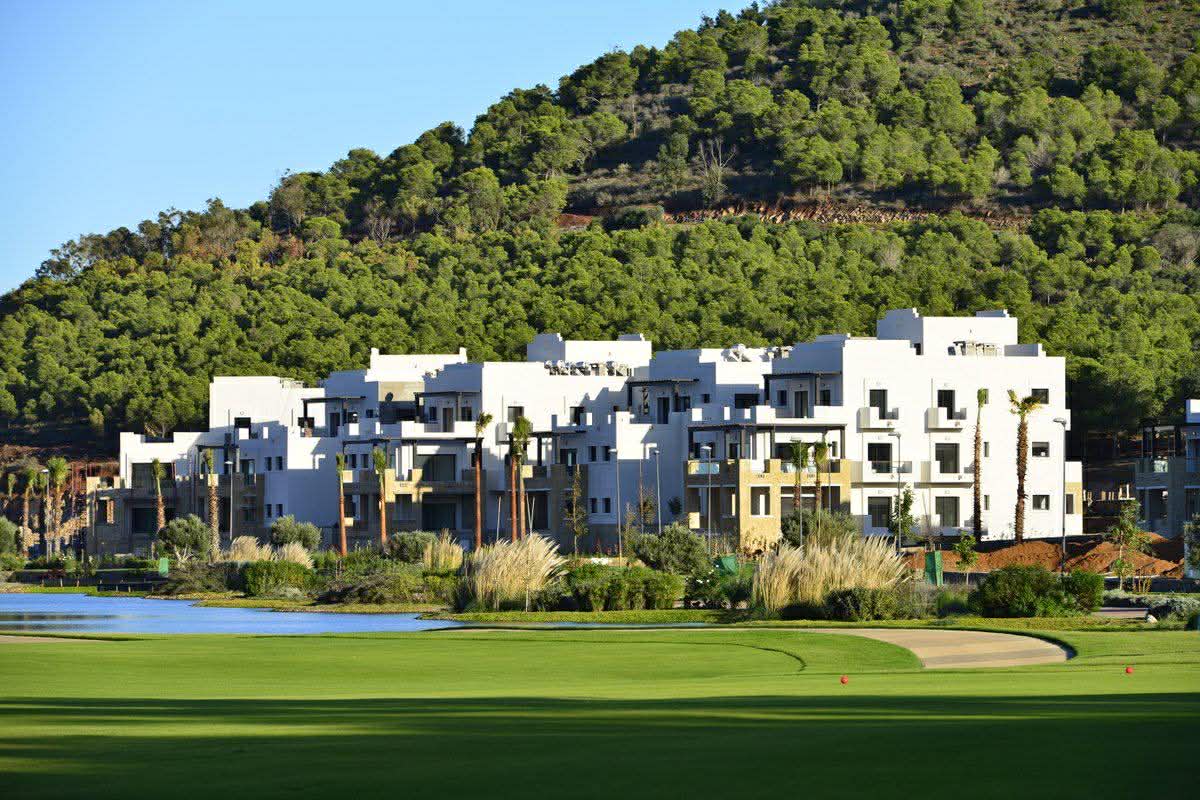 588336018-828168353262395-1202279668808282250-n