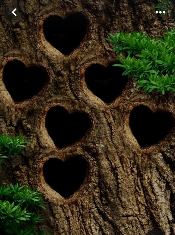 Screenshot_20240210_230040_Pinterest