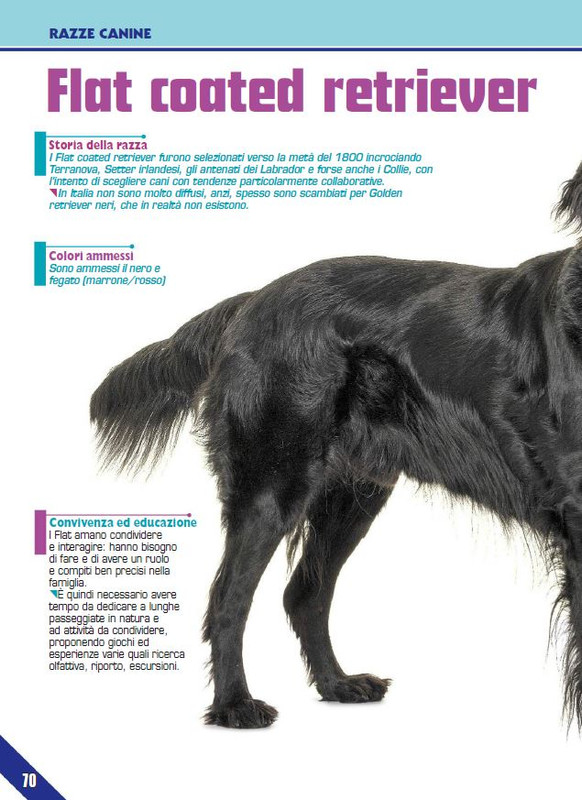 Foc Wil - Lug 2023 (9)