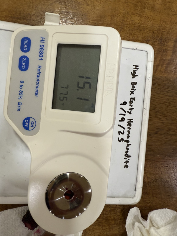 IMG_8596