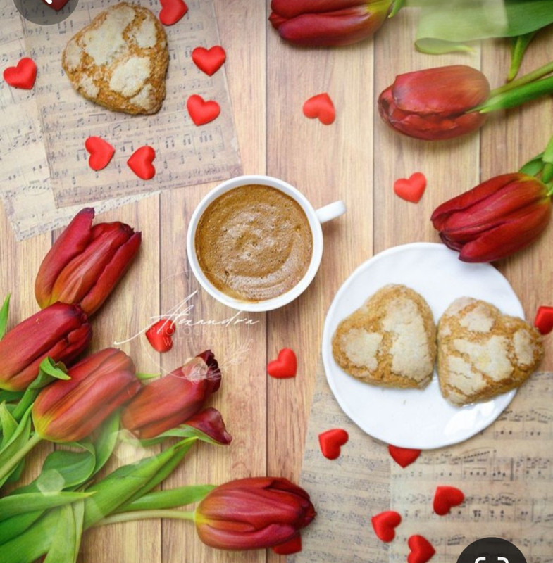 Screenshot_20231121_223959_Pinterest