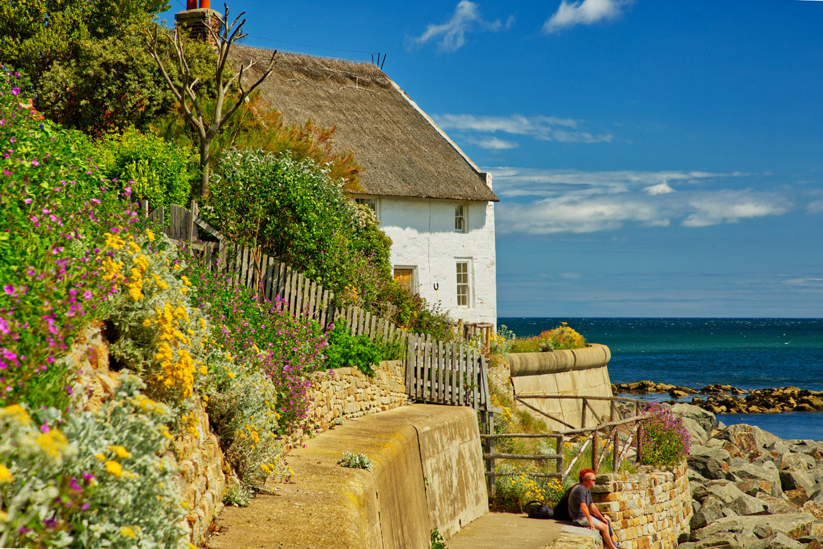 Greenirunsw-ickbayorkshire.jpg