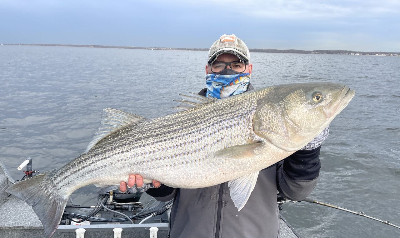 55F93411-CD74-437E-A33E-55E878ACAE04