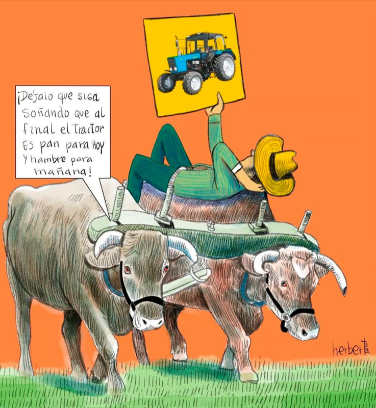 quality-75-1080×1080- (2)