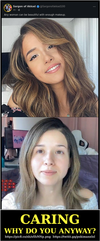 meme-sargon-pokimane-why-care